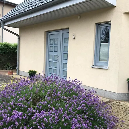 „am Birkenhain“ Apartmán Zinnowitz
